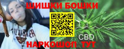 амф Коммунар