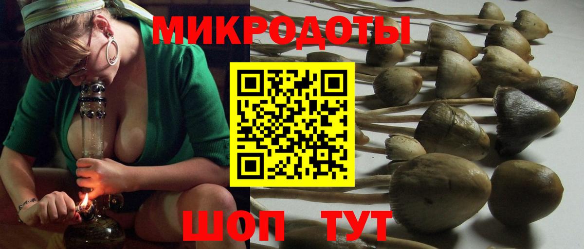 Галлюциногенные грибы GOLDEN TEACHER Новодвинск